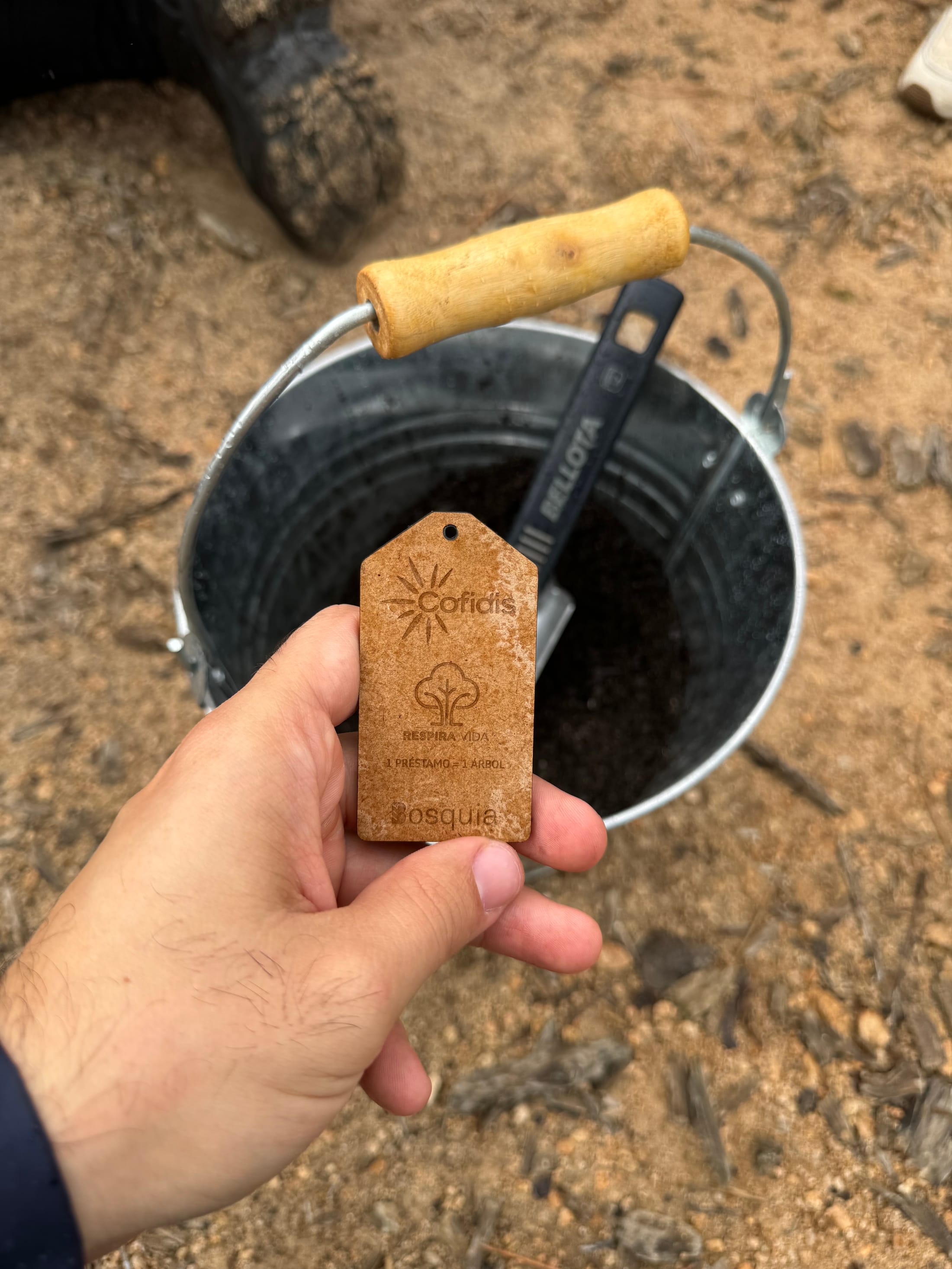 Etiqueta del Bosque Cofidis: 1 préstamo = 1 árbol